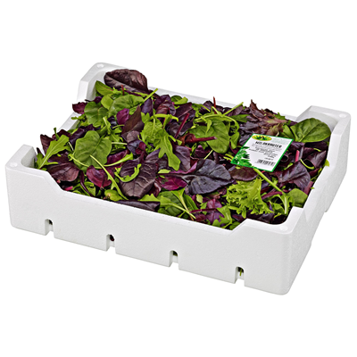 Salatmix Wildkräutersalat 500g 