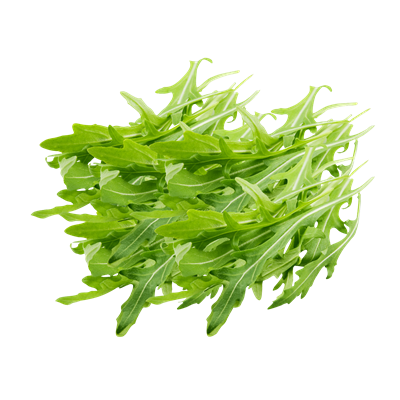 Rucola ungebündelt 1kg